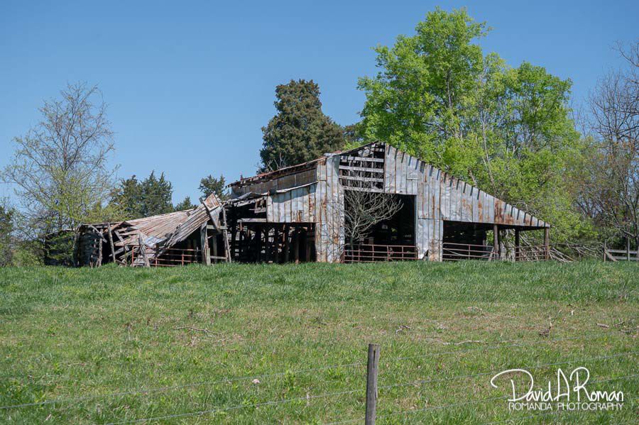 Spring on the farm